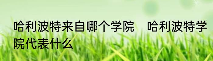 哈利波特来自哪个学院　哈利波特学院代表什么