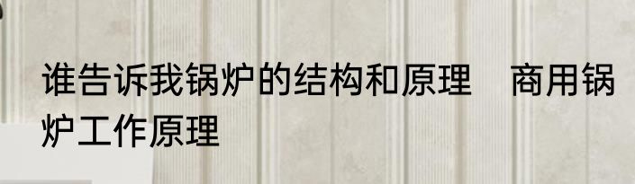 谁告诉我锅炉的结构和原理　商用锅炉工作原理