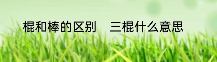 棍和棒的区别　三棍什么意思