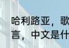 哈利路亚，歌词　哈利路亚是哪国语言，中文是什么意思啊