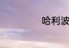 哈利波特游戏规则