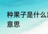 种果子是什么意思　乡下的果子是啥意思