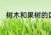 树木和果树的区别　果树是植物吗