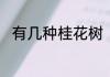有几种桂花树　桂花有哪几种大类
