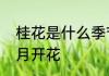 桂花是什么季节开　桂花大约在几个月开花