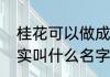 桂花可以做成什么挂件　桂花结的果实叫什么名字