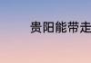 贵阳能带走送人的干货特产