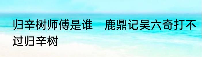归辛树师傅是谁　鹿鼎记吴六奇打不过归辛树