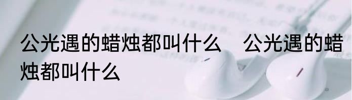 公光遇的蜡烛都叫什么　公光遇的蜡烛都叫什么
