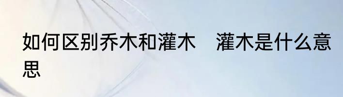 如何区别乔木和灌木　灌木是什么意思
