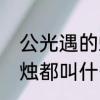 公光遇的蜡烛都叫什么　公光遇的蜡烛都叫什么
