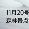 11月20号光遇任务怎么做　光遇幽暗森林景点