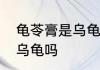 龟苓膏是乌龟壳做的吗　龟苓膏里有乌龟吗