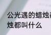 公光遇的蜡烛都叫什么　公光遇的蜡烛都叫什么