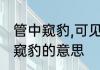 管中窥豹,可见一斑是什么意思　管斑窥豹的意思