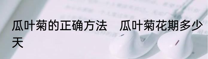 瓜叶菊的正确方法　瓜叶菊花期多少天