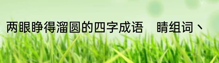 两眼睁得溜圆的四字成语　睛组词丶