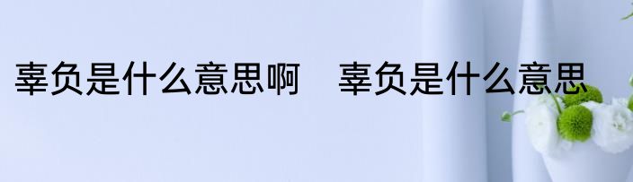 辜负是什么意思啊　辜负是什么意思