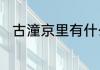 古潼京里有什么　苏难是什么身份