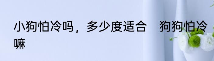 小狗怕冷吗，多少度适合　狗狗怕冷嘛