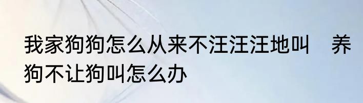 我家狗狗怎么从来不汪汪汪地叫　养狗不让狗叫怎么办