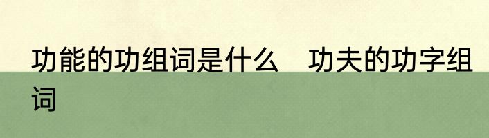 功能的功组词是什么　功夫的功字组词