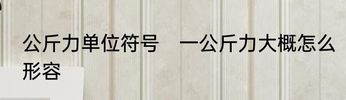 公斤力单位符号　一公斤力大概怎么形容