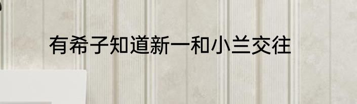 有希子知道新一和小兰交往