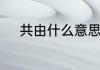 共由什么意思　共号是什么意思