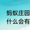 蚂蚁庄园隐藏了别人还能看见吗　为什么会有人把洋葱放在床边蚂蚁庄园