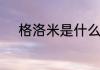 格洛米是什么　格洛米什么意思