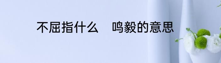 不屈指什么　鸣毅的意思