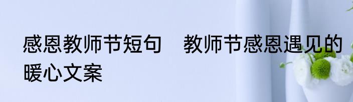 感恩教师节短句　教师节感恩遇见的暖心文案