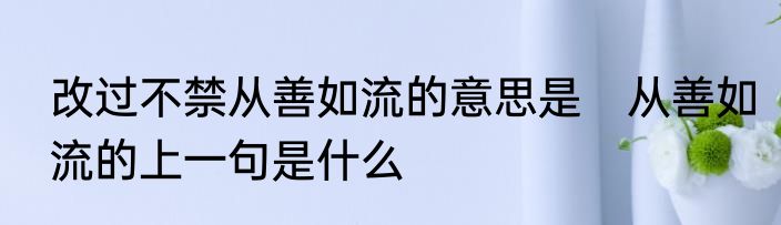 改过不禁从善如流的意思是　从善如流的上一句是什么