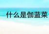 什么是伽蓝菜　伽蓝可以做什么菜