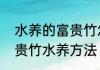 水养的富贵竹怎么养才能更旺盛　富贵竹水养方法