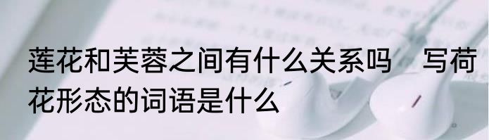 莲花和芙蓉之间有什么关系吗　写荷花形态的词语是什么