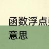 函数浮点数是什么　x是浮点数是什么意思