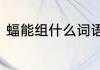 蝠能组什么词语　蝠字能组什么词急