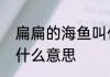 扁扁的海鱼叫什么蜉　蜉嗨观苍生是什么意思