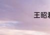 王昭君诗词名句