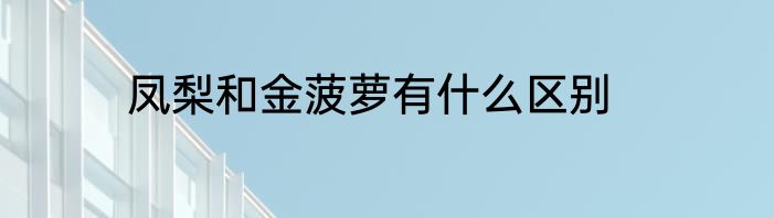 凤梨和金菠萝有什么区别