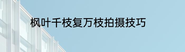 枫叶千枝复万枝拍摄技巧