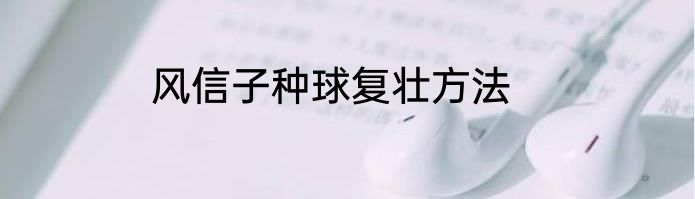 风信子种球复壮方法