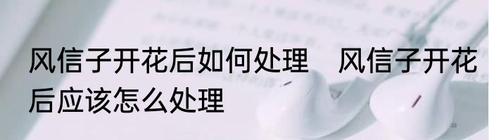 风信子开花后如何处理　风信子开花后应该怎么处理
