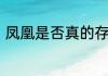 凤凰是否真的存在　凤凰真实存在吗