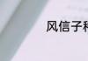 风信子种球复壮方法