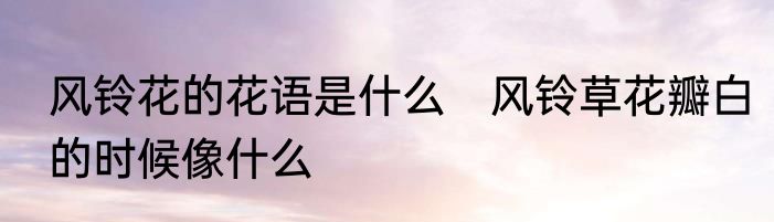 风铃花的花语是什么　风铃草花瓣白的时候像什么