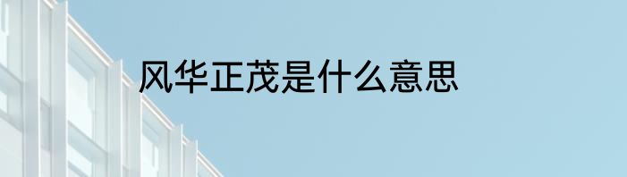 风华正茂是什么意思