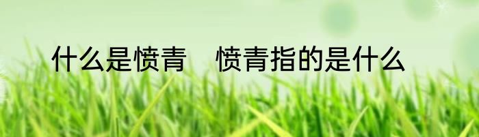 什么是愤青　愤青指的是什么